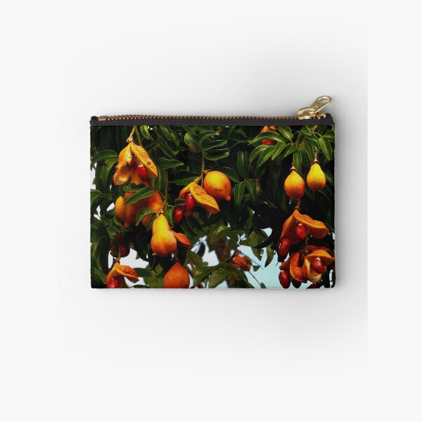 Item preview, Ormosia Robusta tree Vietnam designed and sold by JCis1WTL.