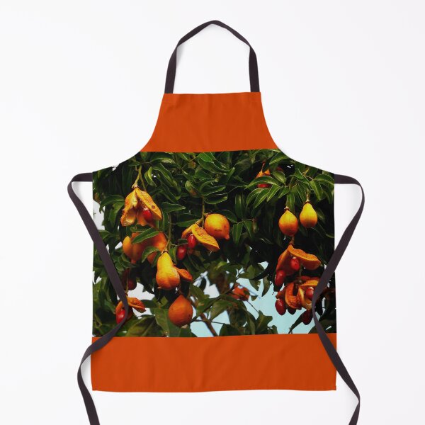 Item preview, Árbol Ormosia Robusta Vietnam designed and sold by JCis1WTL.