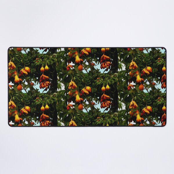 Item preview, Ormosia Robusta tree Vietnam designed and sold by JCis1WTL.