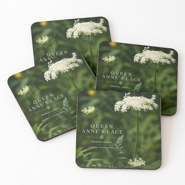 Item preview, Queen Annes Lace Botanical Art Poster designed and sold by greatlakesimage.