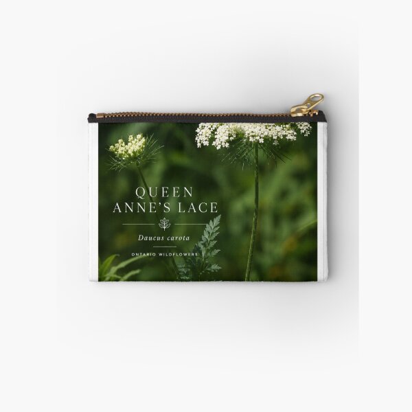 Item preview, Queen Annes Lace Botanical Art Poster designed and sold by greatlakesimage.