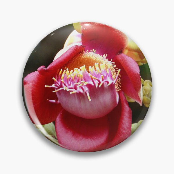Item preview, Cannon ball tree flower Vietnam designed and sold by JCis1WTL.