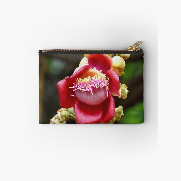 Item preview, Cannon ball tree flower Vietnam designed and sold by JCis1WTL.