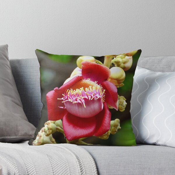 Item preview, Cannon ball tree flower Vietnam designed and sold by JCis1WTL.