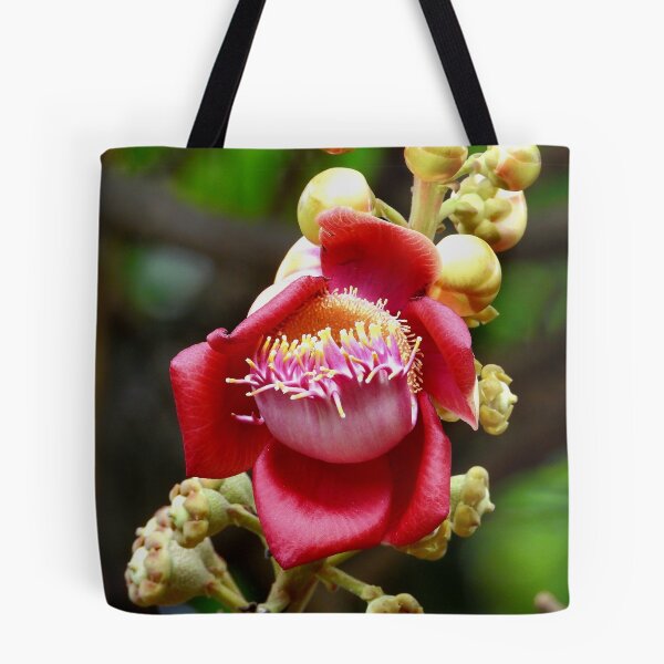 Item preview, Cannon ball tree flower Vietnam designed and sold by JCis1WTL.