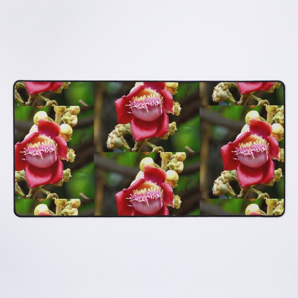 Item preview, Cannon ball tree flower Vietnam designed and sold by JCis1WTL.