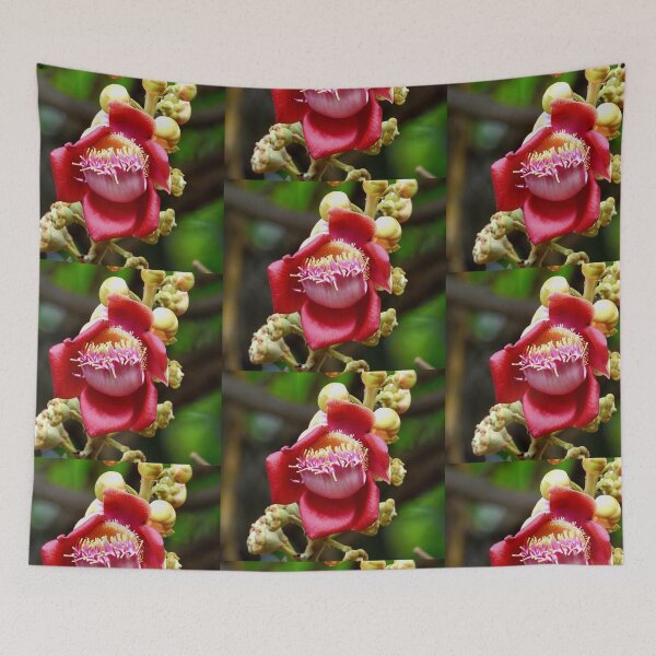 Item preview, Cannon ball tree flower Vietnam designed and sold by JCis1WTL.