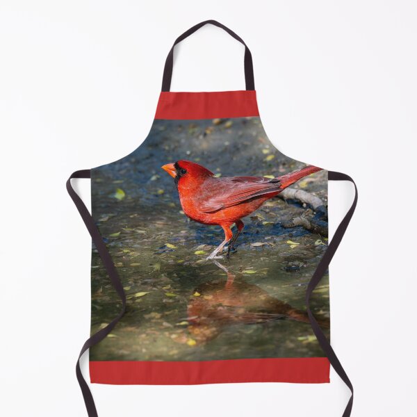 Item preview, Northern Cardinal in a Rain Puddle designed and sold by Debra Martz.