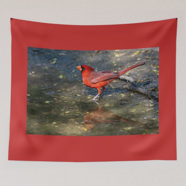 Item preview, Northern Cardinal in a Rain Puddle designed and sold by Debra Martz.
