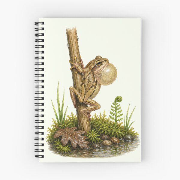 Item preview, Spring Peeper Frog Calling Colored Pencil Study designed and sold by BloomStudio1.