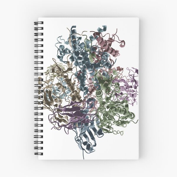 Item preview, Macromolecule designed and sold by ScienceRex.