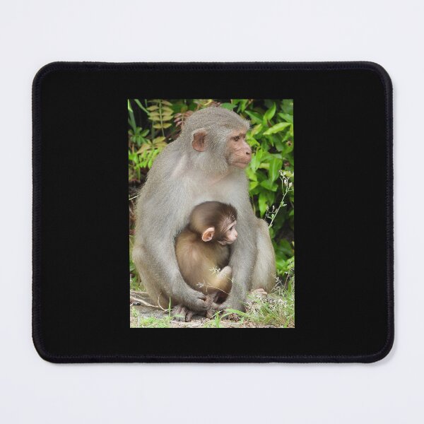 Item preview, Monkeys designed and sold by JCis1WTL.