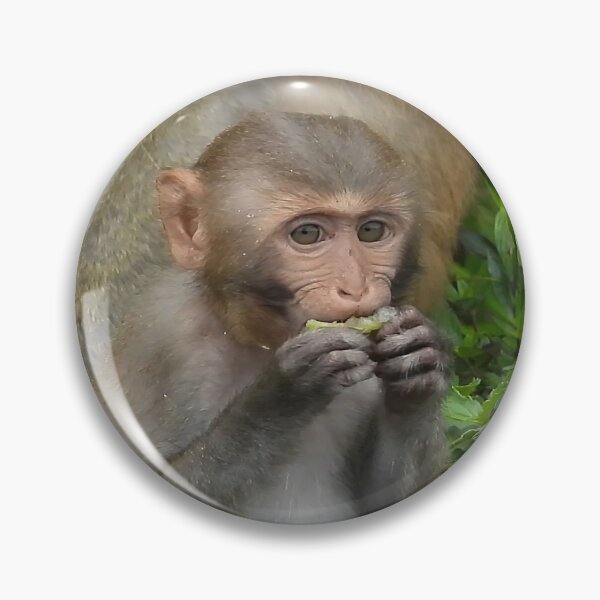 Item preview, Monkey designed and sold by JCis1WTL.