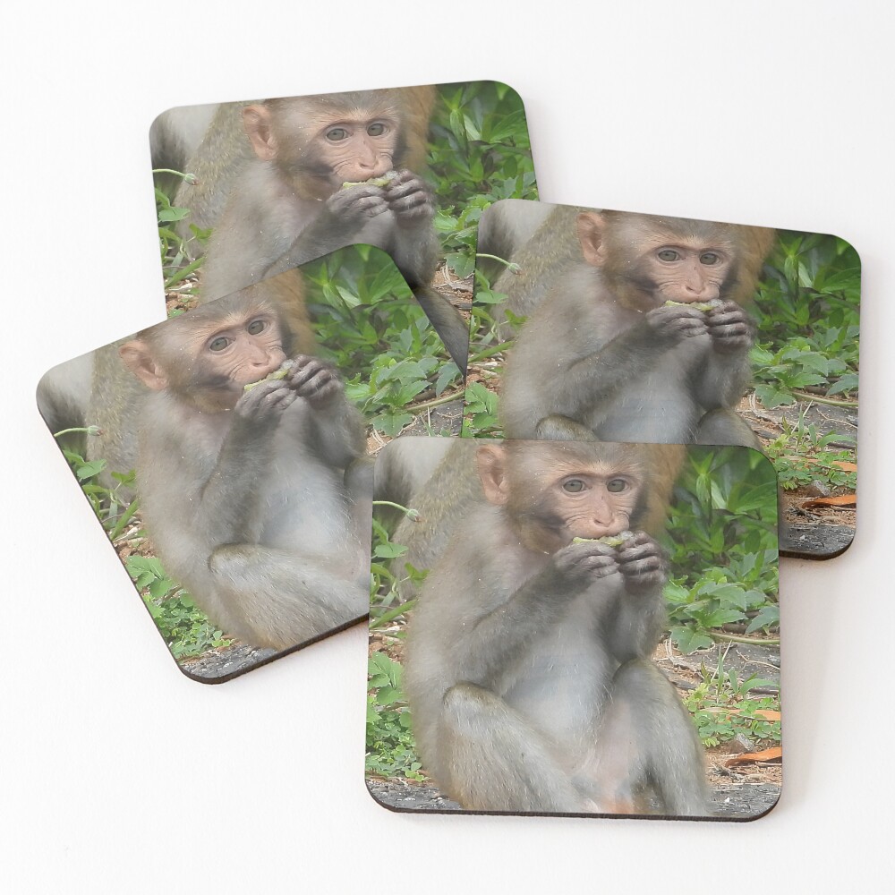 Item preview, Coasters (Set of 4) designed and sold by InanaIstar.