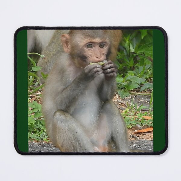 Item preview, Monkey designed and sold by JCis1WTL.