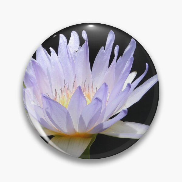 Item preview, Water lily designed and sold by JCis1WTL.