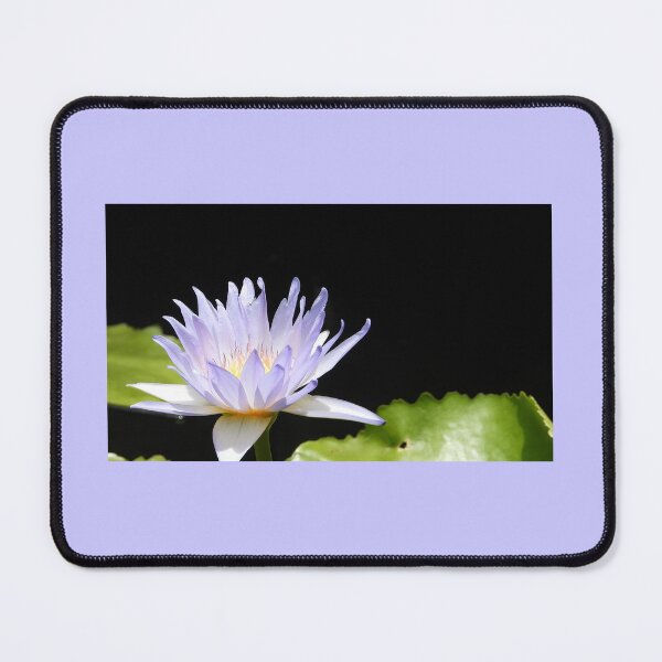 Item preview, Water lily designed and sold by JCis1WTL.