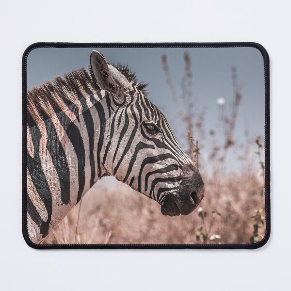 Item preview, Striking Zebra Profile Portrait in the Wild designed and sold by OlaniPictures.