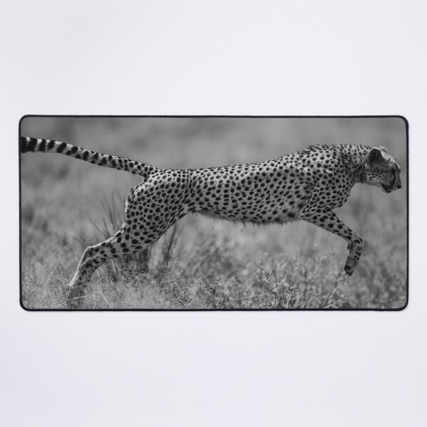 Item preview, Dynamic Black and White Cheetah Sprinting in the Wild designed and sold by OlaniPictures.