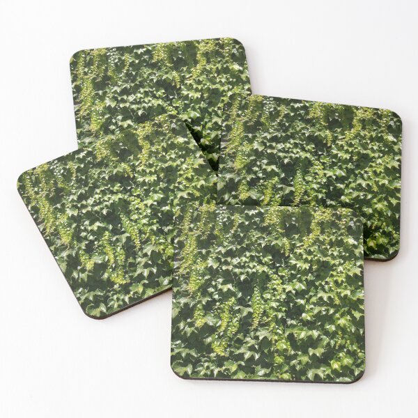 Item preview, Ivy Wall designed and sold by Dead Parrot Technology.