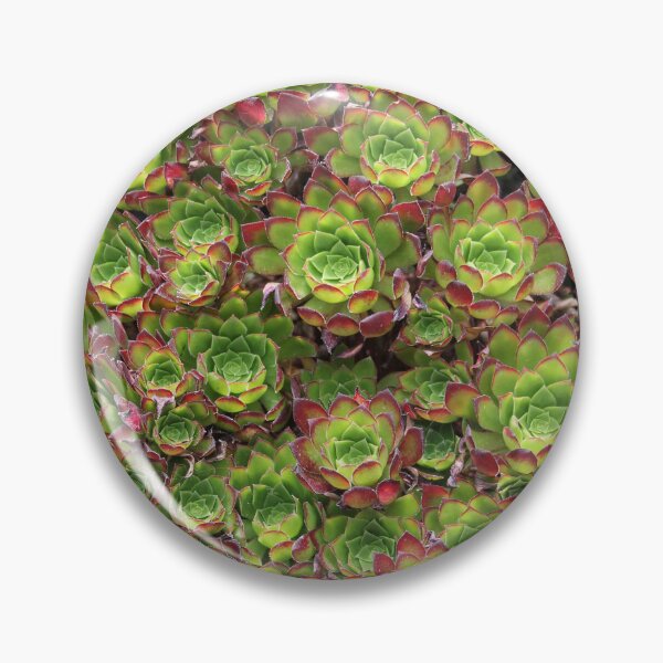 Item preview, Succulents designed and sold by Dead Parrot Technology.