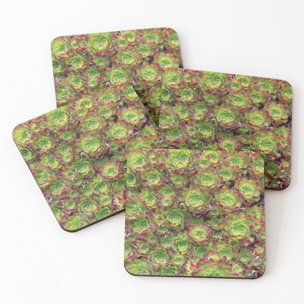 Item preview, Succulents designed and sold by Dead Parrot Technology.