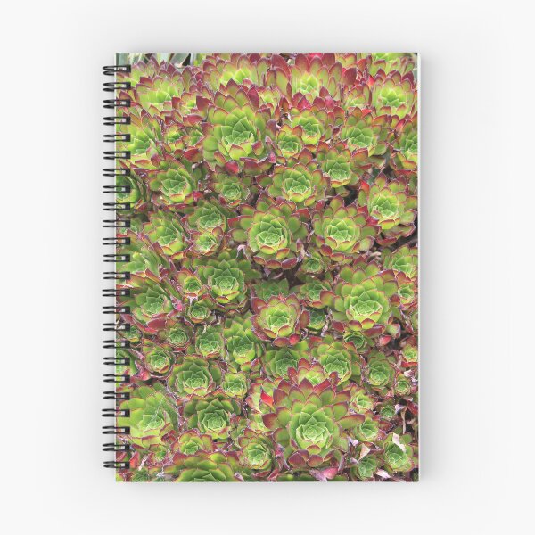 Item preview, Succulents designed and sold by Dead Parrot Technology.