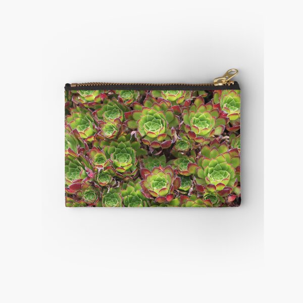 Item preview, Succulents designed and sold by Dead Parrot Technology.
