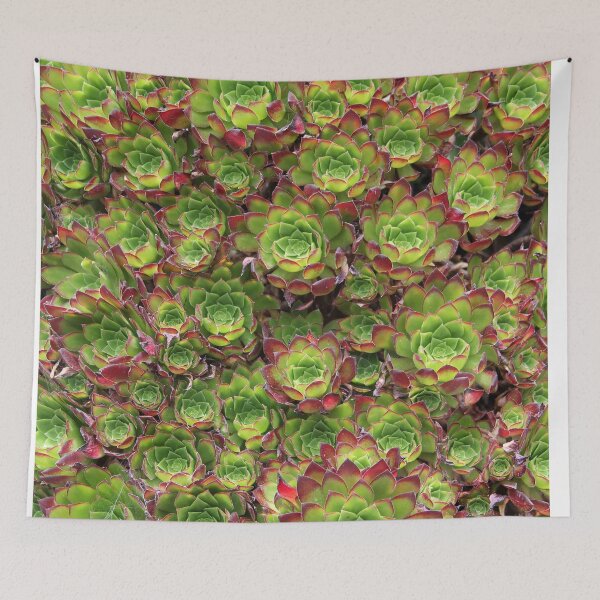 Item preview, Succulents designed and sold by Dead Parrot Technology.