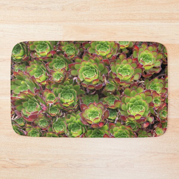 Item preview, Succulents designed and sold by Dead Parrot Technology.