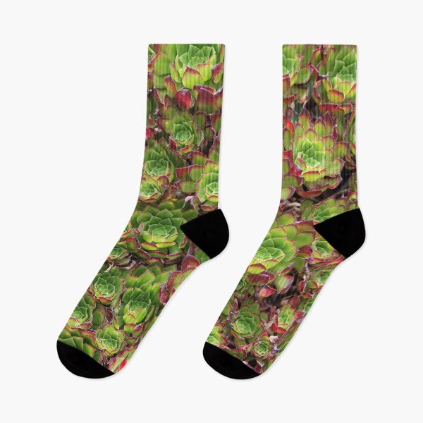 Item preview, Succulents designed and sold by Dead Parrot Technology.