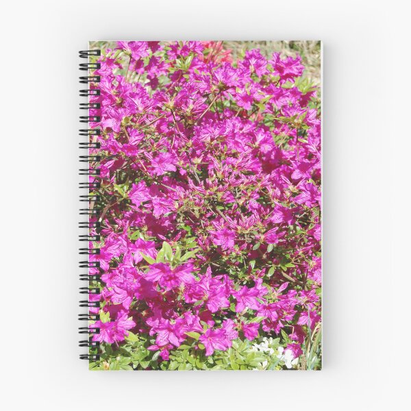 Item preview, Blooms designed and sold by Dead Parrot Technology.