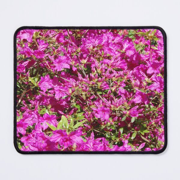 Item preview, Blooms designed and sold by Dead Parrot Technology.