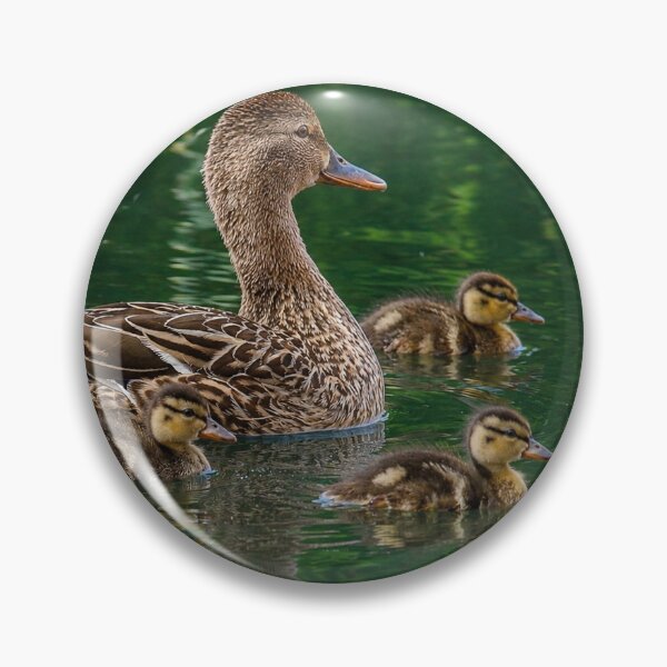 Item preview, Emerald Waters Family Cruise designed and sold by Kimberly Palmer.