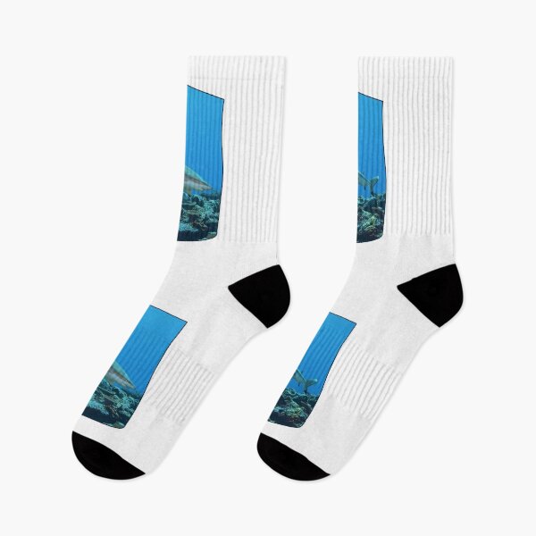 Item preview, Blacktip Reef Shark Organic Shape * Yap Vertigo Design |  designed and sold by Photo & Design Ute Niemann.