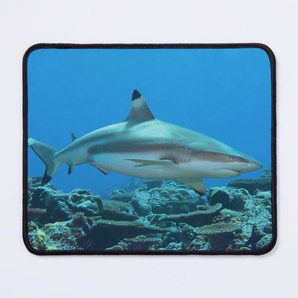 Item preview, Blacktip Reef Shark Organic Shape * Yap Vertigo Design | designed and sold by Photo & Design Ute Niemann.