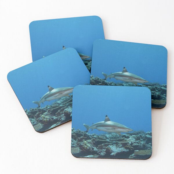 Item preview, Blacktip Reef Shark at Vertigo * Pacific Ocean Photo |  designed and sold by Photo & Design Ute Niemann.
