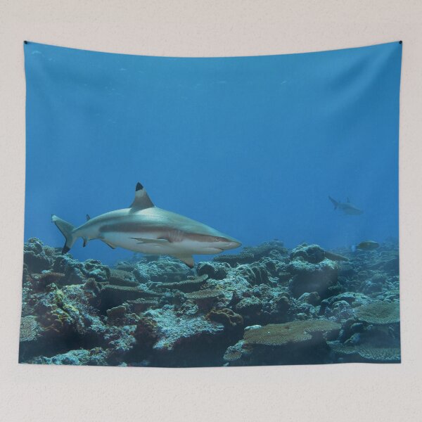 Item preview, Blacktip Reef Shark at Vertigo * Pacific Ocean Photo |  designed and sold by Photo & Design Ute Niemann.