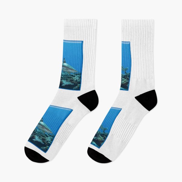 Item preview, Blacktip Reef Shark at Vertigo * Pacific Ocean Photo |  designed and sold by Photo & Design Ute Niemann.