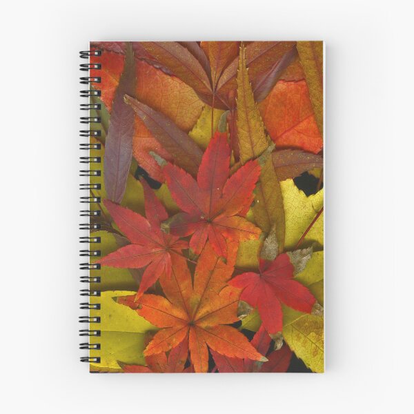 Item preview, Autumn designed and sold by Dead Parrot Technology.