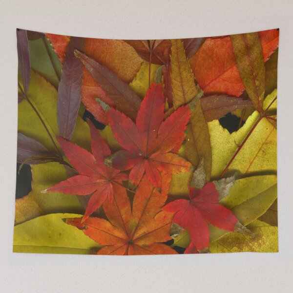Item preview, Autumn designed and sold by Dead Parrot Technology.