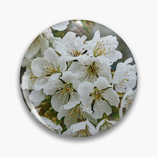 Item preview, Cheery Blossom designed and sold by Eidetic Photos.