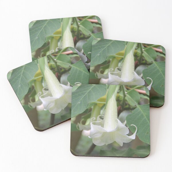 Item preview, Pure White Bloom designed and sold by Dead Parrot Technology.
