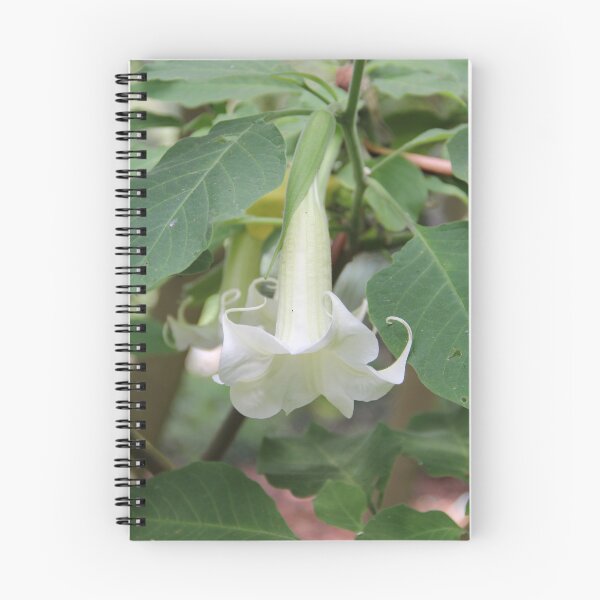Item preview, Pure White Bloom designed and sold by Dead Parrot Technology.
