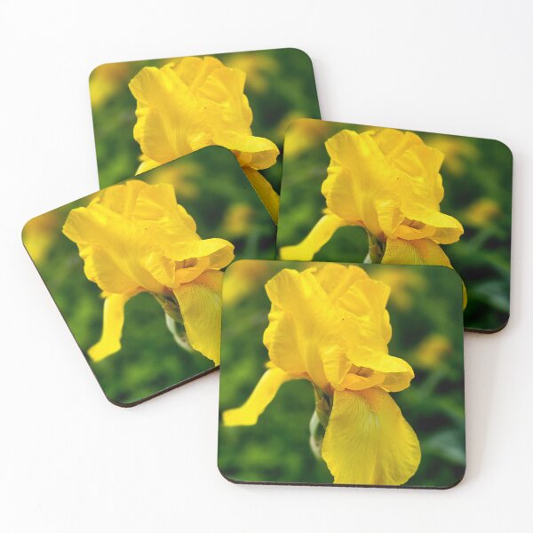 Item preview, Yellow Iris Bloom Photo designed and sold by NikaNavi.