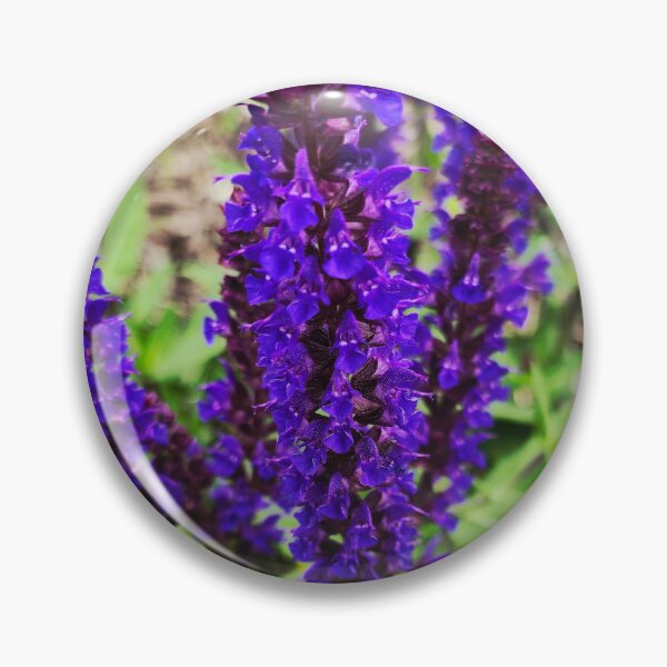 Item preview, Purple Salvia Flowers Photo designed and sold by NikaNavi.
