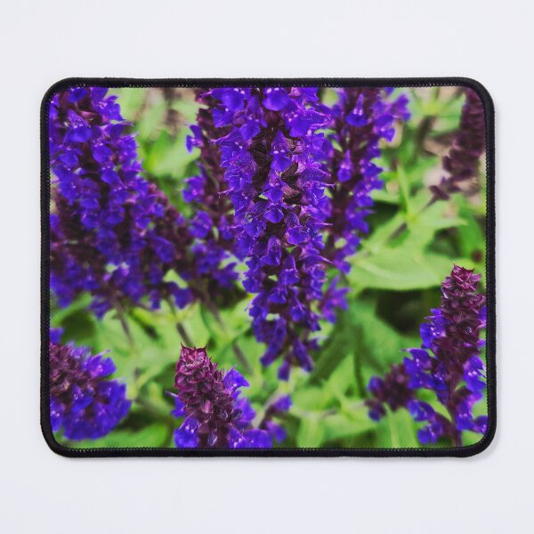 Item preview, Purple Salvia Flowers Photo designed and sold by NikaNavi.