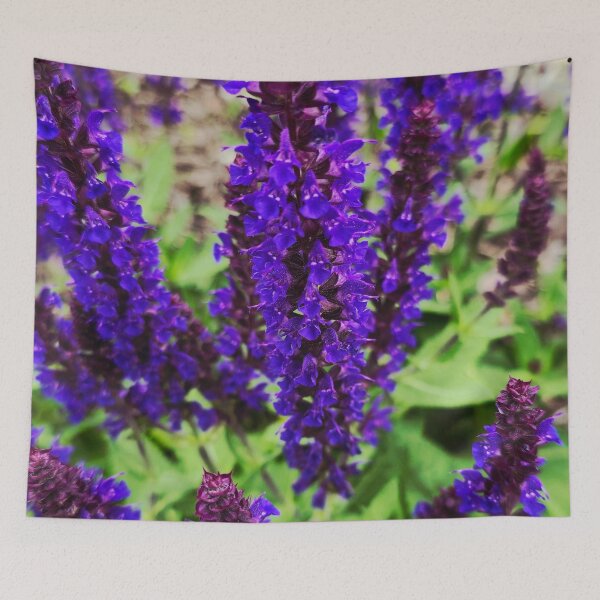 Item preview, Purple Salvia Flowers Photo designed and sold by NikaNavi.