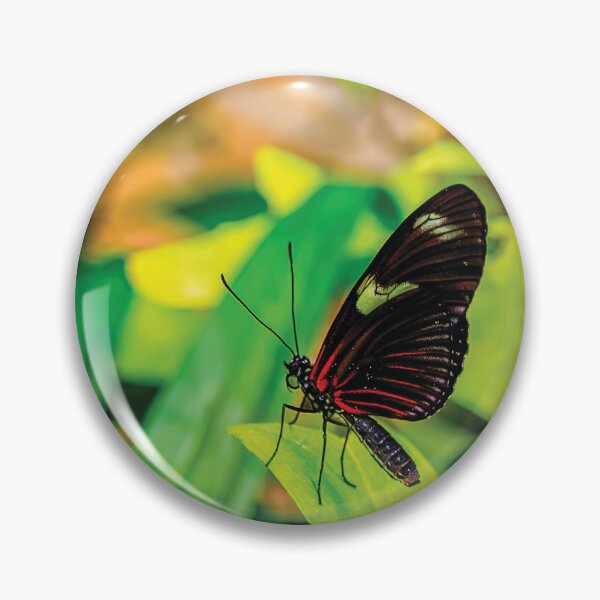 Artikelvorschau, Doris Longwing in Alarmbereitschaft entworfen und verkauft von Kay Brewer.