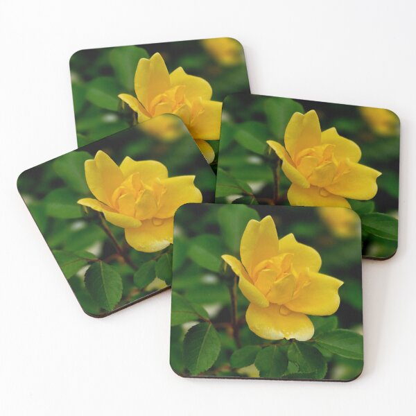 Item preview, Yellow Rose Bloom Photo designed and sold by NikaNavi.